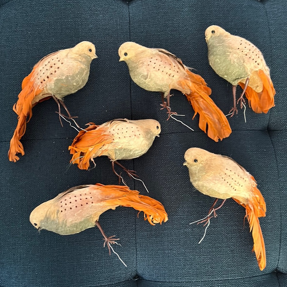 Vintage feathered bird Christmas ornaments, lot of 6